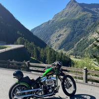 Harley Davidsom Bad Boy rigido chopper old school