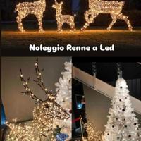 Noleggio Renne a Led