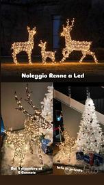 Noleggio Renne a Led