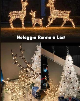 Noleggio Renne a Led