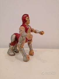 SAGITAR masters motuc