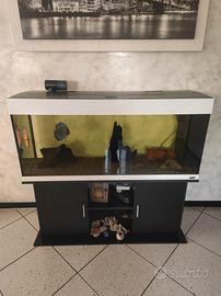 Acquario completo 