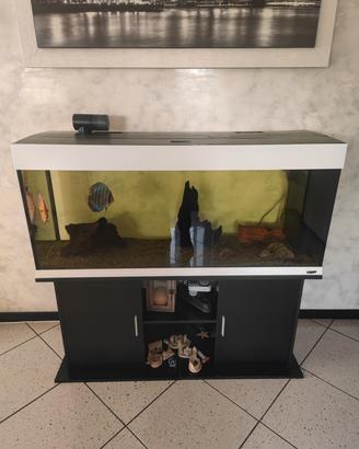 Acquario completo 