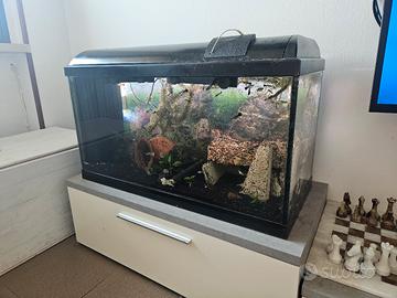 Acquario 80 litri