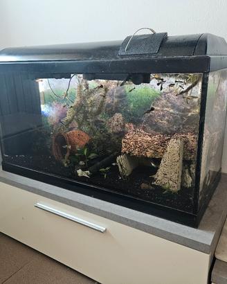 Acquario 80 litri