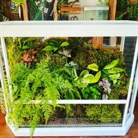 Vivarium