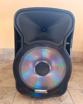 Cassa karaoke 200 Wat con 2 Microfoni