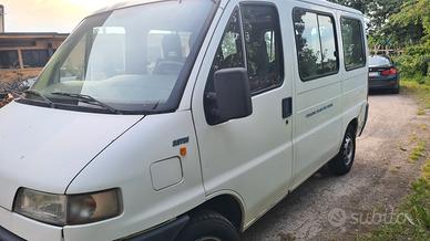 Ducato 9 posti