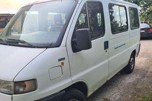 Ducato 9 posti