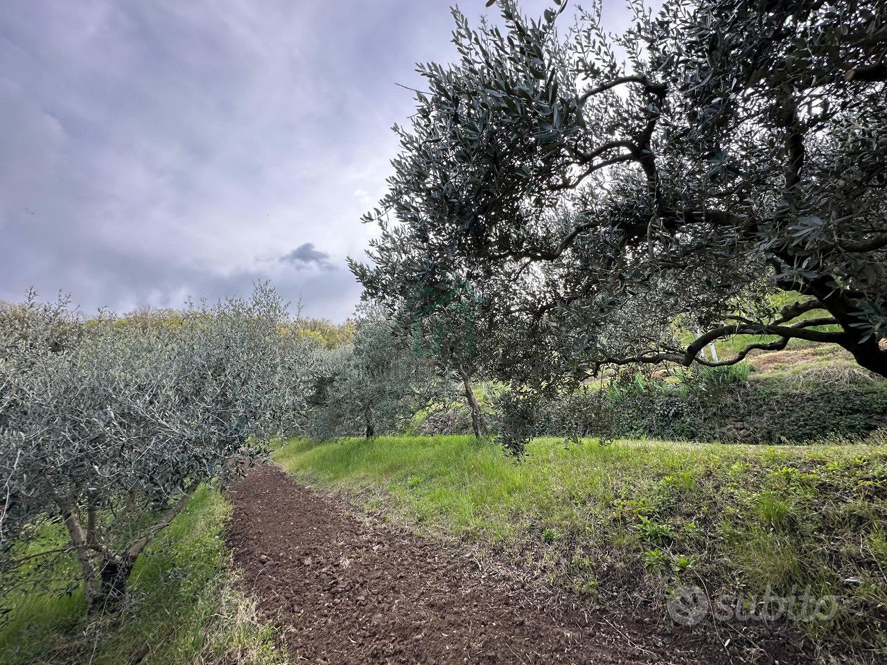 Terreno a Roncà (VR) - Vista 5