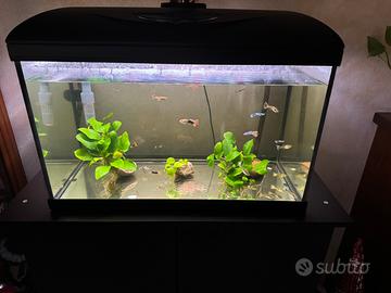 Acquario Amtra 60 Led
