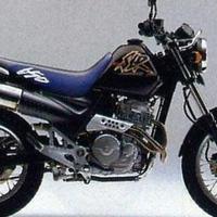 Honda SLR 650 - 1999