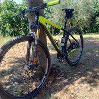 Bicicletta MTB Scapin ORAKLO 29" L