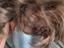 Immagine 5