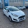 ford-fiesta-1-2-60cv-5-porte-titanium