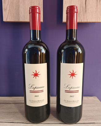 coppia vino lupicaia 2011-2012 
