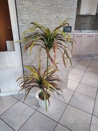 Pianta finta