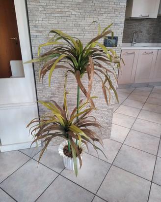Pianta finta