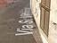 Immagine 9