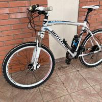 Bottecchia FX530