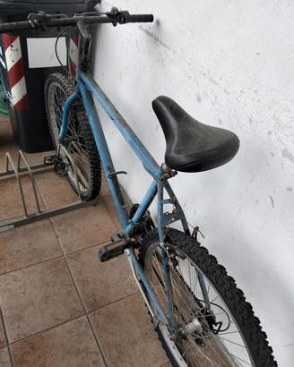 1 bici bike