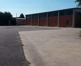 Capannone fronte strada con ampia area