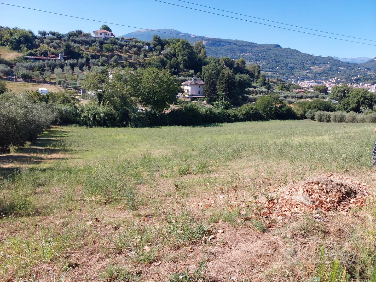 Terreno agricolo Ascoli Piceno - Vista 4