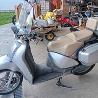 scooter One Aprilia scarabeo 500