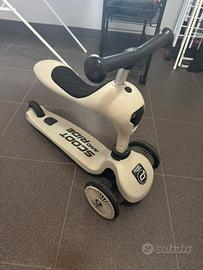 Scoot and Ride Highwaykick 2 in 1