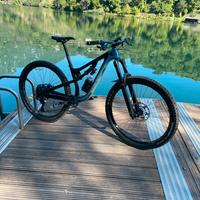 Rocky mountain instinct c70 bc edition