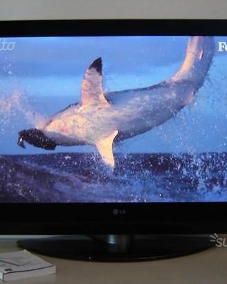 Lg  Tv 43"