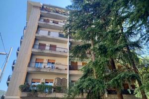 Rif.24937- appartamento bilocale