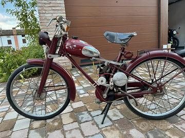 Aquilotto Bianchi 1955