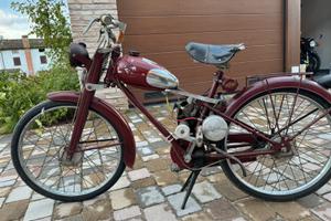 Aquilotto Bianchi 1955