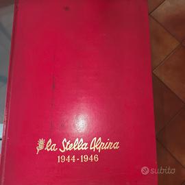 LA STELLA ALPINA