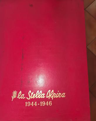 LA STELLA ALPINA