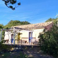 Casa con vigneto e terreno