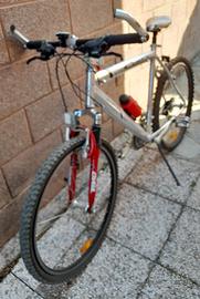 Bicicletta sportiva