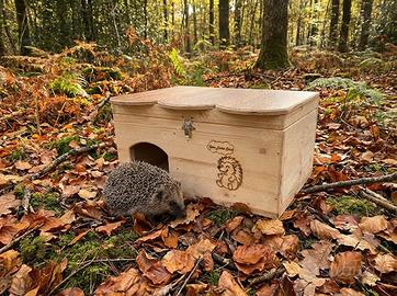 Casetta in legno. Tana per letargo invernale