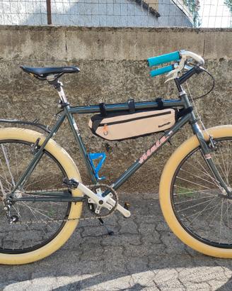 bici da passeggio