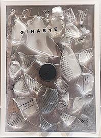 QUADRO CON BOTTIGLIA GIN