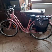 bicicletta elettrica assistita