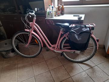 bicicletta elettrica assistita