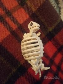 Mostruovo/Egg Monster 