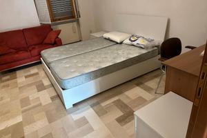 Spacious Single Room