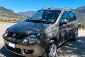 Panda 4x4 cross 2010