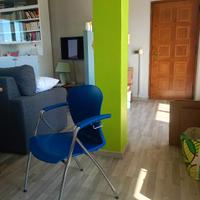 Stock Sedie Professionali SESTA "Carina" – Design 