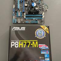 Scheda Madre Asus P8H77-M