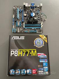 Scheda Madre Asus P8H77-M