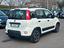 Immagine 4
